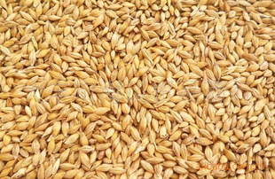 ���ϼӹ��豸ԭ��Ƥ����